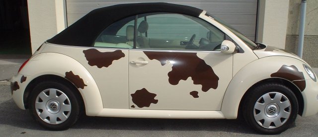 KFZ Beschriftung